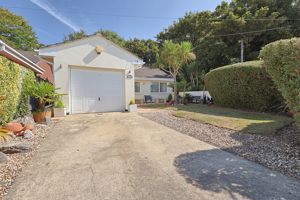 Photo 2- click for photo gallery